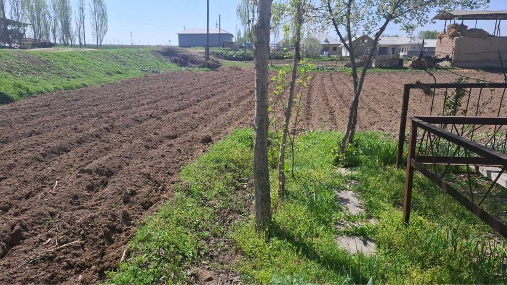 Прадется земля ташморе с 2 комнатным постройкой