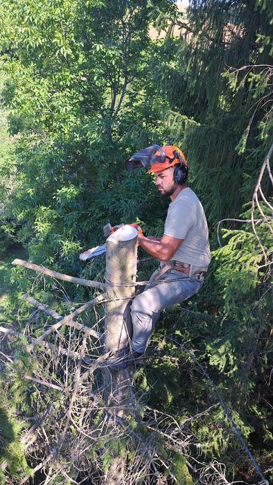 Рязане на опасни дървета кастрене с вишка