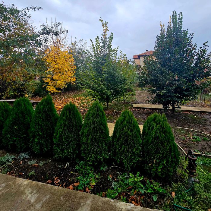 Продава се Къща в с. Кривина, Област София-град - 200 кв.м за 1243 €/кв.м - Снимка #2