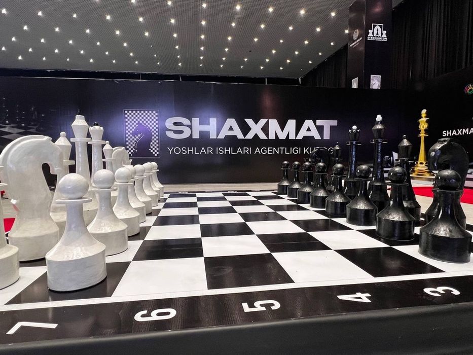 Шахматы парковские