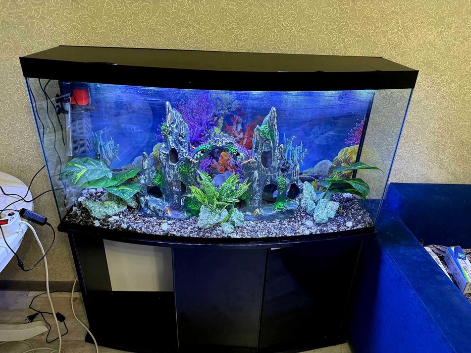 Продаётся аквариум 250 литров