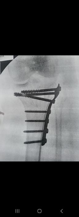 Suzuki Burgman 250 2000