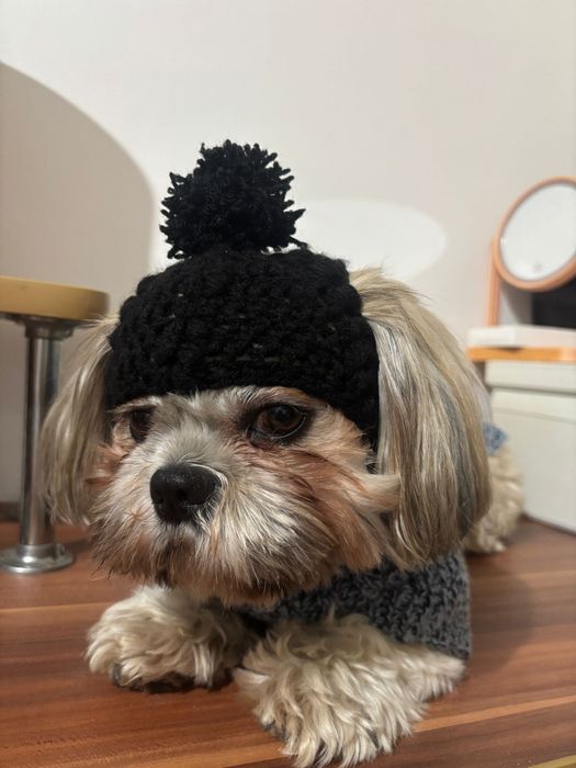 Hăinuțe căței lucrate manual si căciuliță cadou