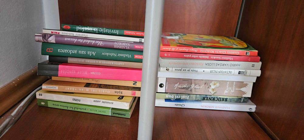 Biblioteca 100+ carti de autori variati