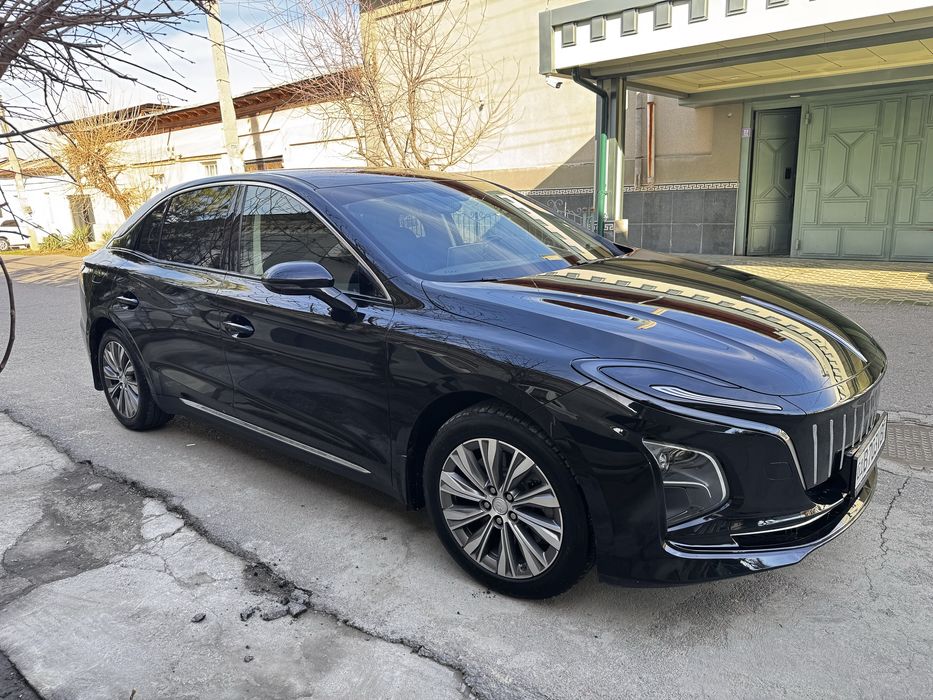 Hongqi eqm5 500 tali