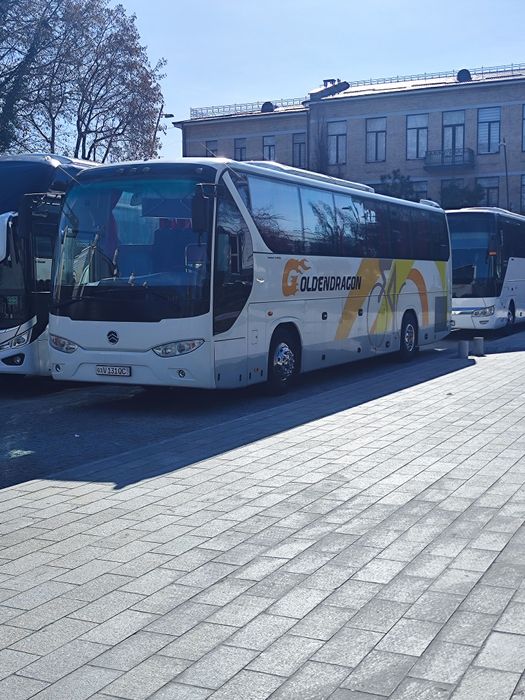 Goldin drakon avtobuz