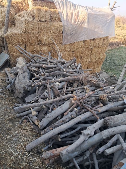 O‘tin sotiladi tez