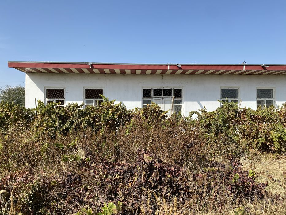 Самаркан вилояти Иштихон тумани Митан шахарчаси Х-Хусан к/к