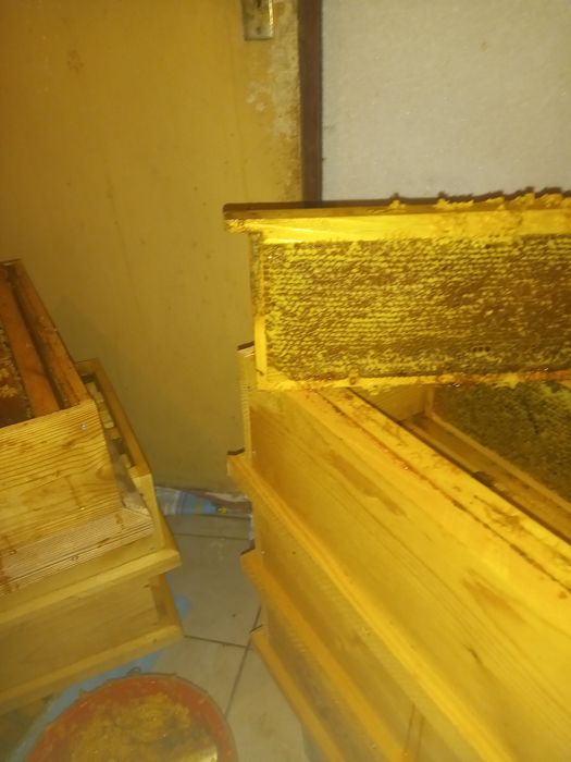 Натурален пчелен мед 100%от природата