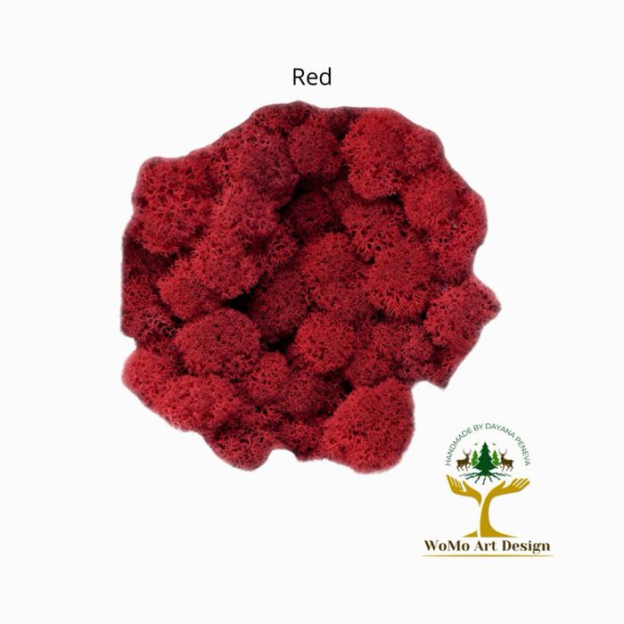 Тотална разпродажба Скандинавски мъх - първо качество