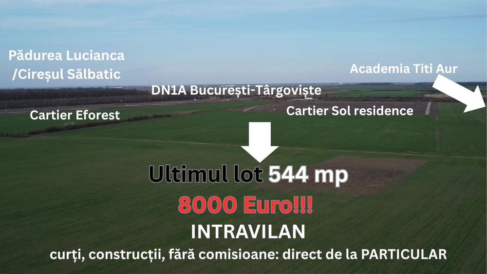 Acad. T. Aur, 544 mp. intravilan, pădurea aproape și cel mai bun preț