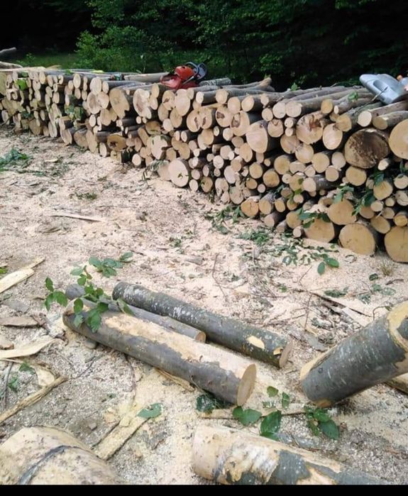 Lemne de foc fag stejar