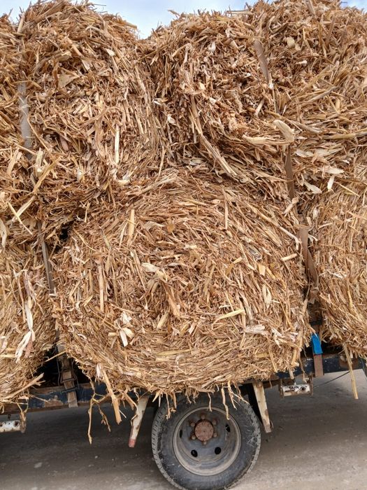 Vand baloți rotunzi de coceni cu iarba.