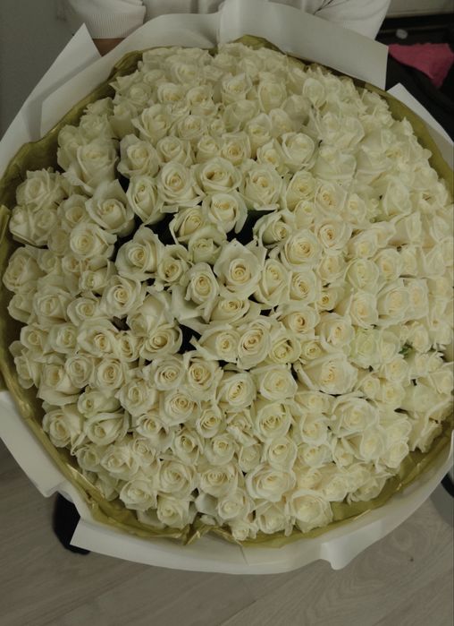 Цветы 201 белые розы