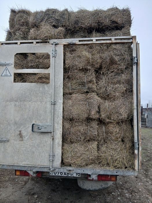 Шоп сатам Сено продам