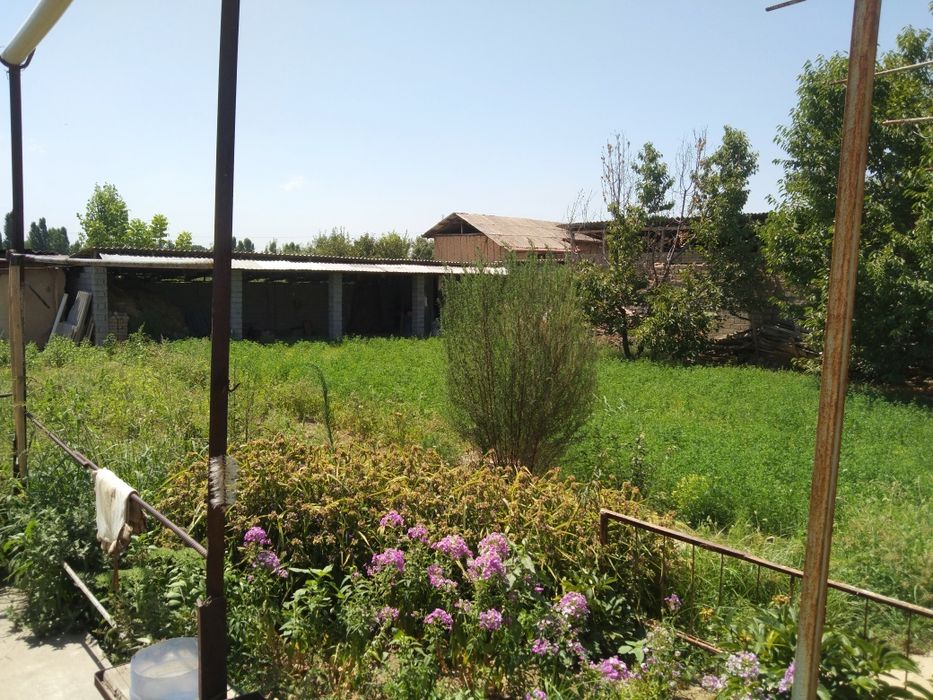 Burota mustaqilik kochasida 5sotix yer uchastka sotiladi