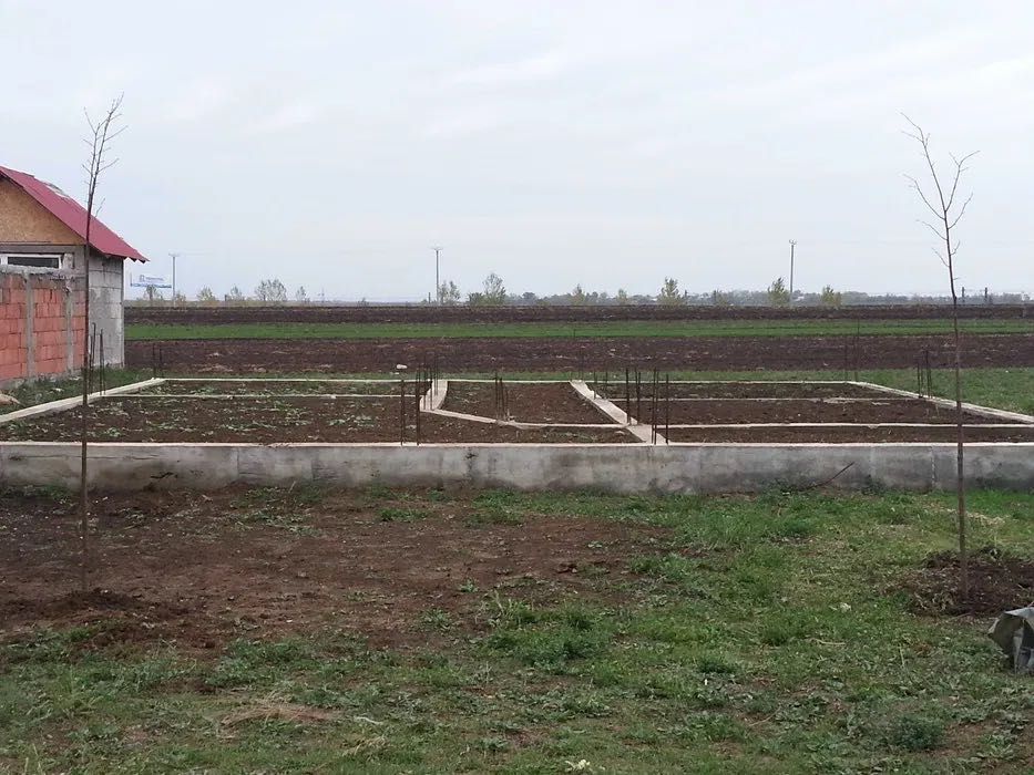 Lot de casă intravilan