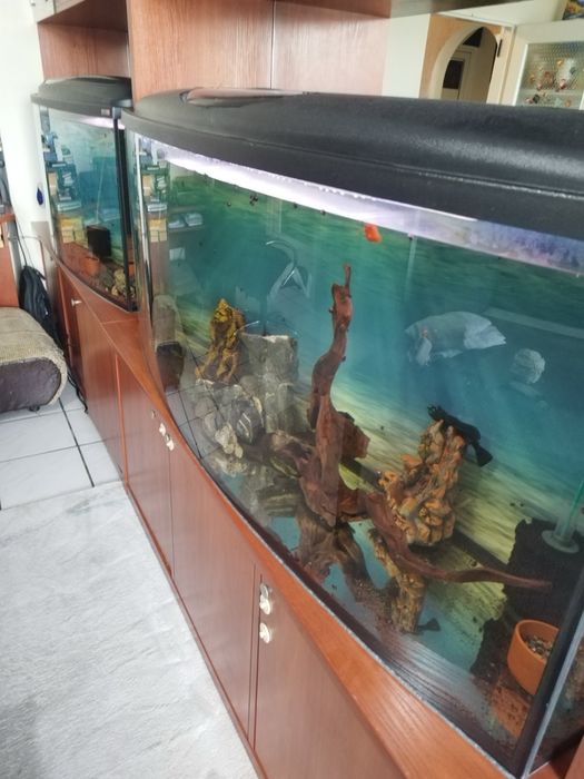 Комплект аквариуми