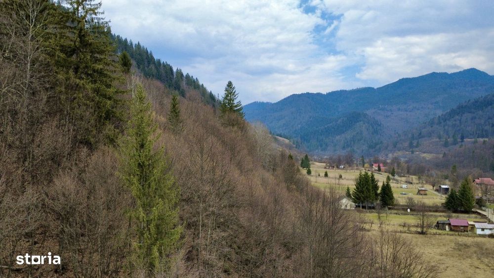 Oaza de liniste: casa + padure pana pe creasta muntelui