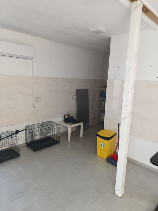 Spatiu comercial stradal