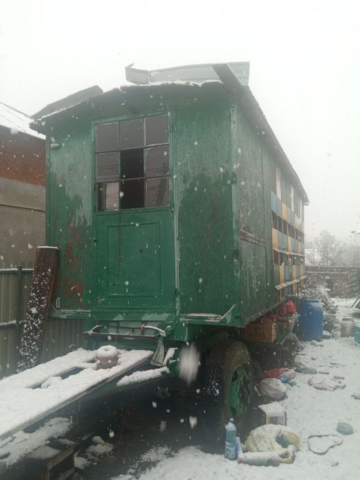 Familia albine, miere,apicole