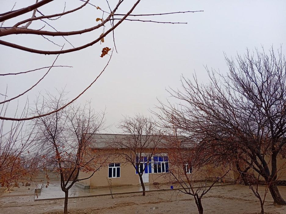 Xovli sotiladi 50 sotih SROCHNA