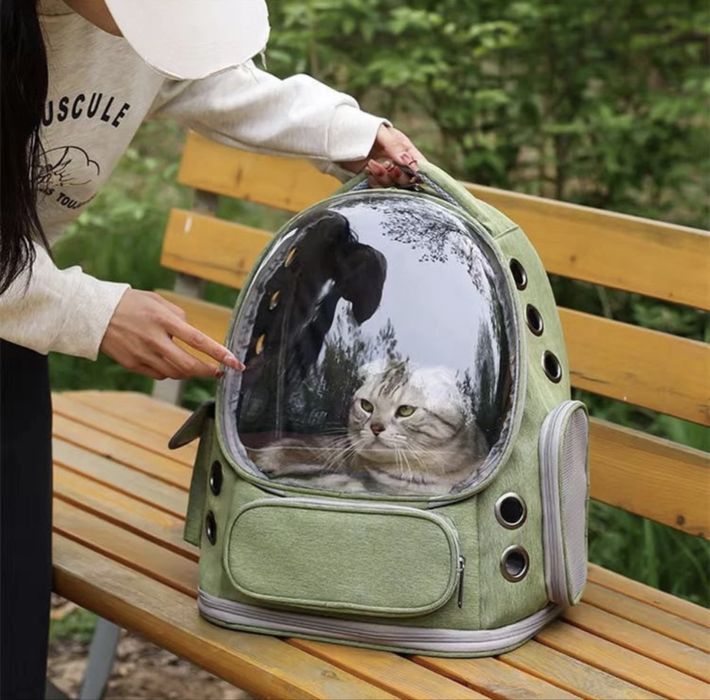 Переноска (космос)