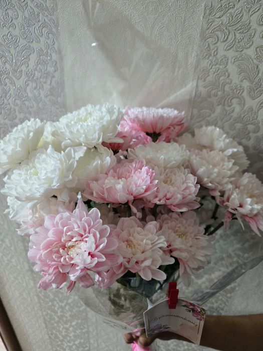 Разные цветы караганда
