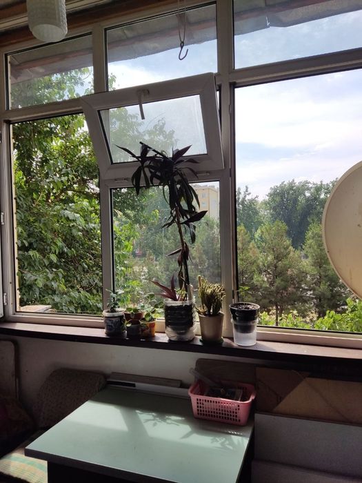 РИЭЛТОР. Продам 3 комнатную квартиру. Спутник -9 второй этаж. 55метров