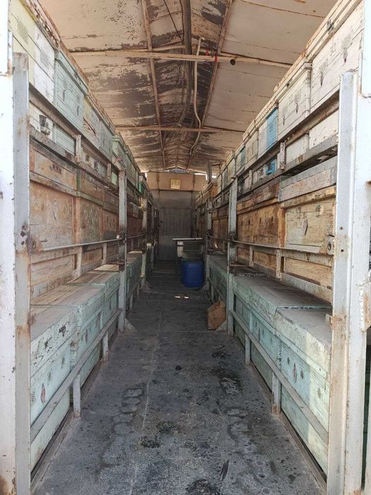 Продаётся ПАСЕКА