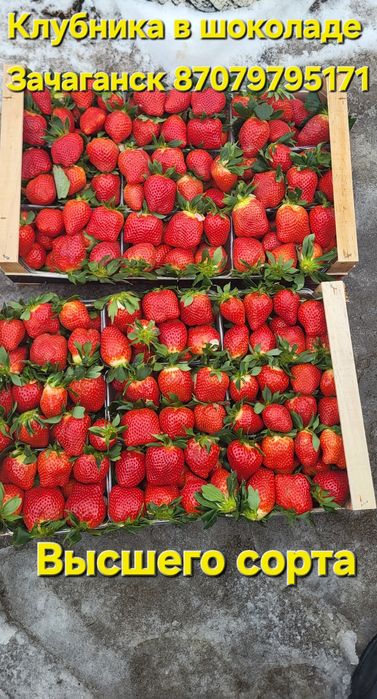 Клубника в шоколаде