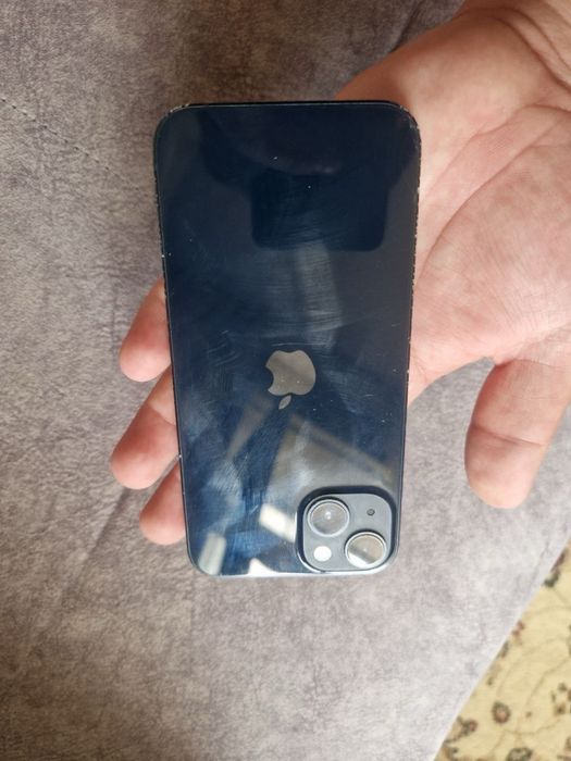 Apple 13