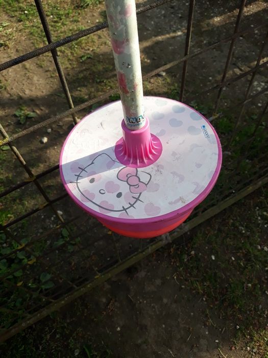 Minge săltăreață noriel