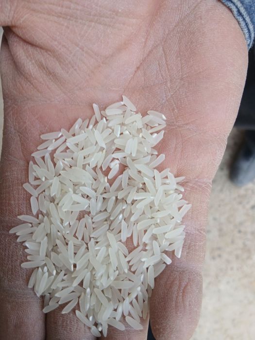 Хоразм гуручлари накд ва перечисления йули билан гуруч guruch guruch