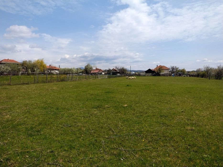 Teren intravilan 3700 mp curent, asfalt, priveliște de vis și liniște