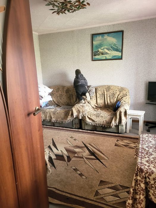 Продам дачю в Кунаев хороший дом участок