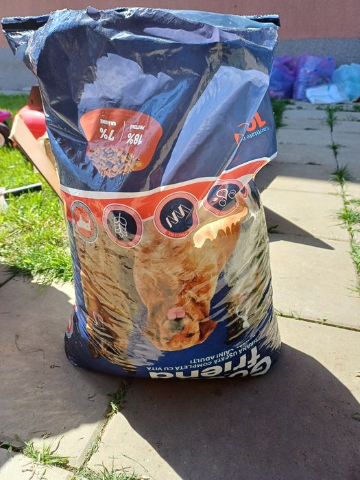 Cusca caine talie mijlocie