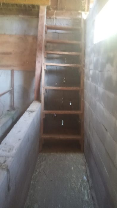 Продам дом в селе Турген