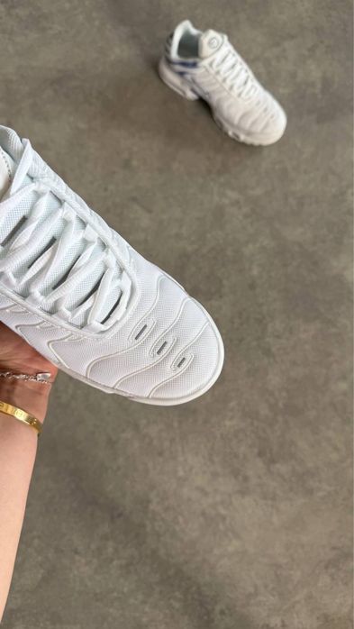 Nike Air Max Plus TN  'Ashen Slate”