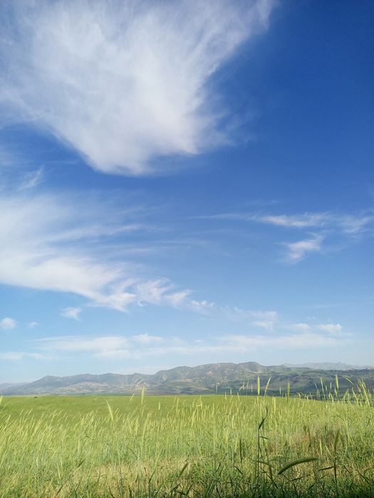 See Crvgbjnjbhvfcfcgbhb