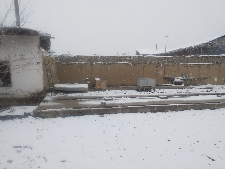 Sergili tumanida Yer sotiladi