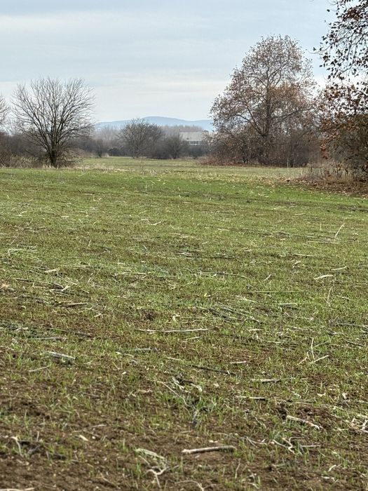 Продава се Парцел в с. Овощник, Област Стара Загора - 4300 кв.м за 41 €/кв.м - Снимка #2