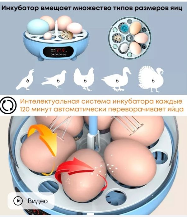 Икнубатор мини 6 тали