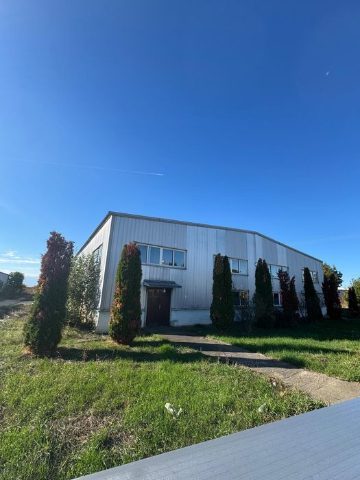 Hale de inchiriat Baicoi-Liliesti DN1