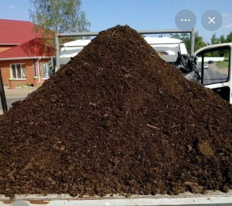 навоз,ескі сиырдың навозы