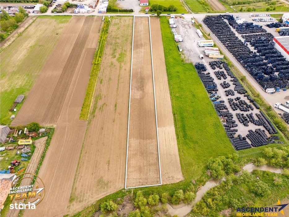 FILM! 5.000 mp teren, la marginea orasului Targu Secuiesc, aria indust
