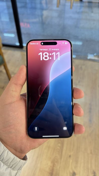 iPhone 16 Pro Max (256 GB)