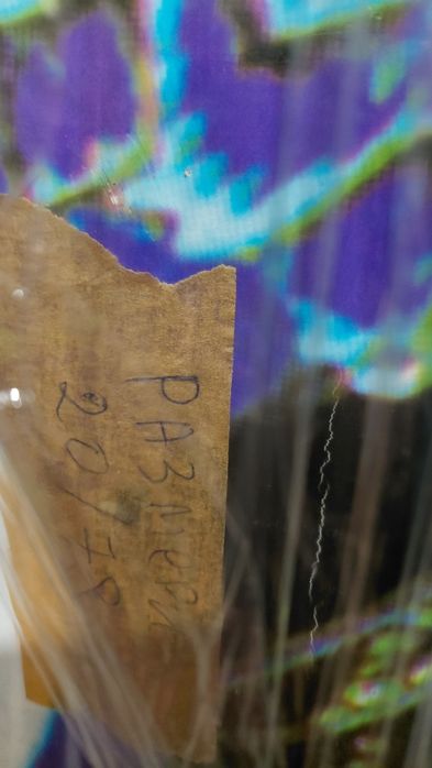 Детски скейблорд.