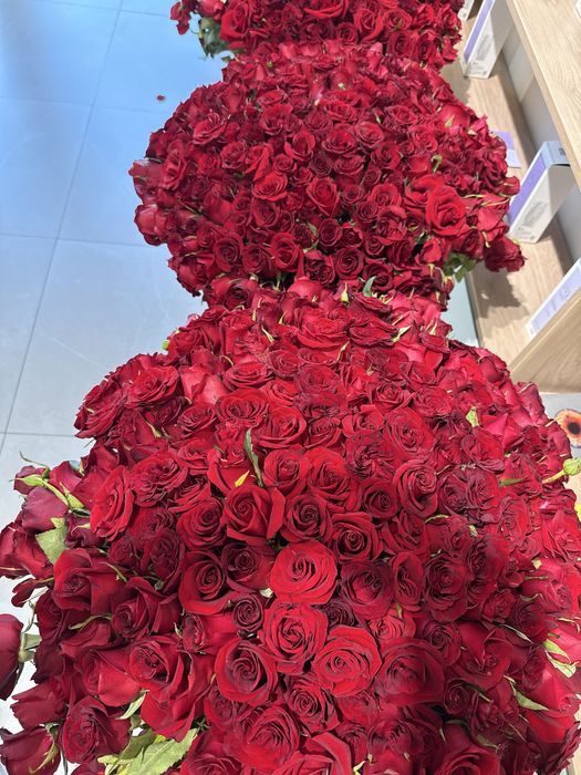 151 роза за 50.000