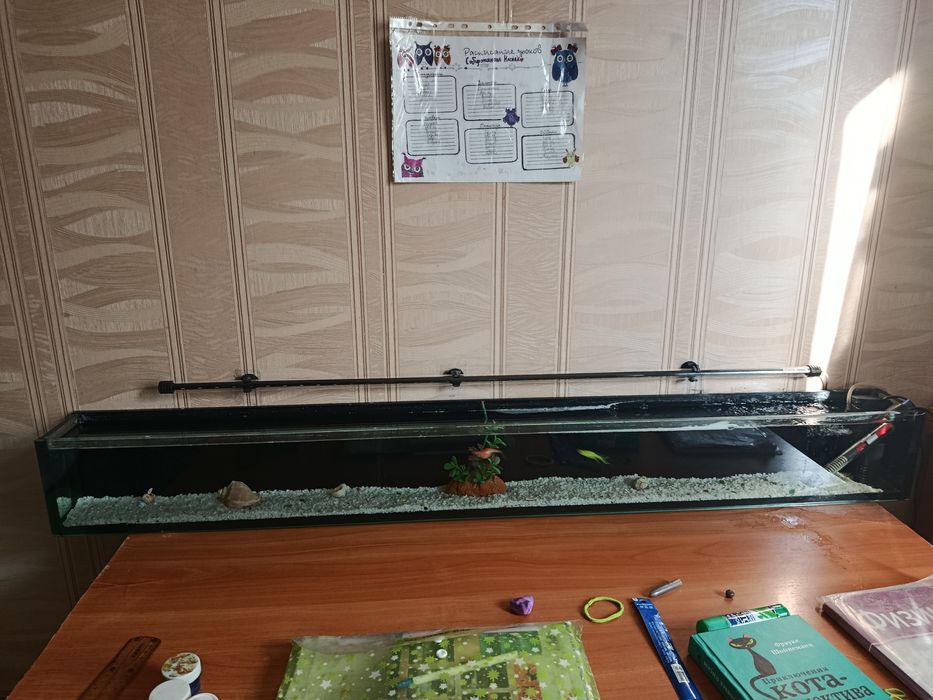 Продается аквариум +2 рыбы